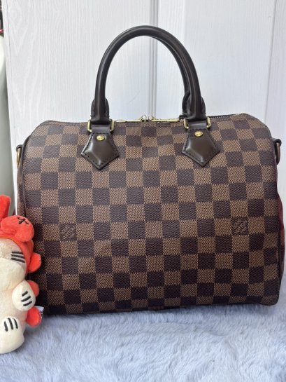 Louis Vuitton Speedy 25
