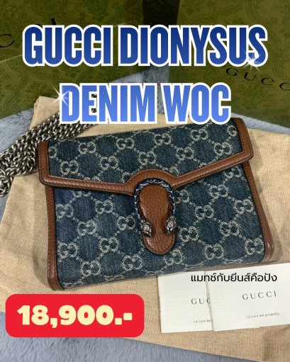 Gucci Dionysus Denim WOC / Super Mini