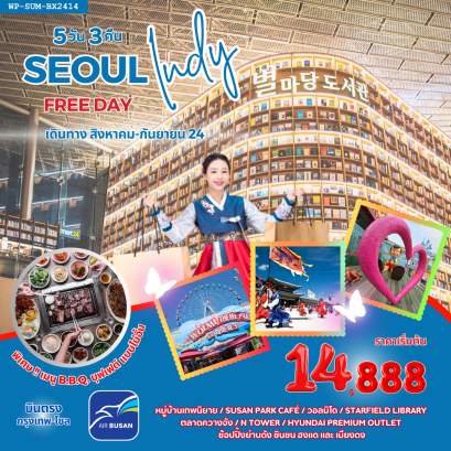 SEOUL INDY FREE DAY AIR BUSAN (BX)