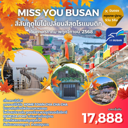 MISS YOU BUSAN สีสันฤดูไบไม้เปลี่ยนสีสุดโรแมนติก​