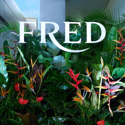 FRED Monsieur Fred Ideal Light 