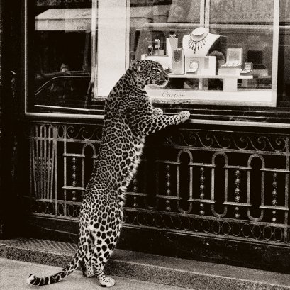 CARTIER AND PANTHÈRE