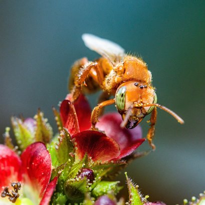 ROLEX 2026 Rolex Awards Laureates