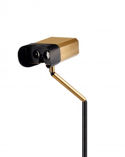 Keeping an eye on history 