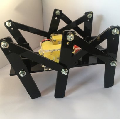 Modify 6-Leg Kit Acrylic สุ่มสี