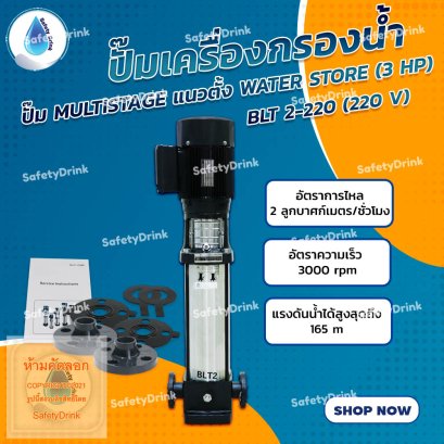 ปั๊ม MULTISTAGE แนวตั้ง WATER STORE BLT 2-220 3 HP(220V)