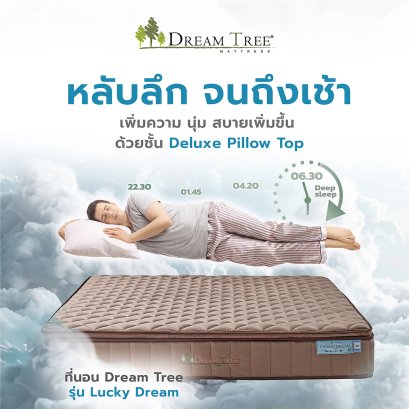 ที่นอน Dream Tree รุ่น LUCKY DREAM
