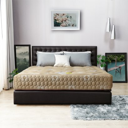 ที่นอน Wonder Night รุ่น GLORIA