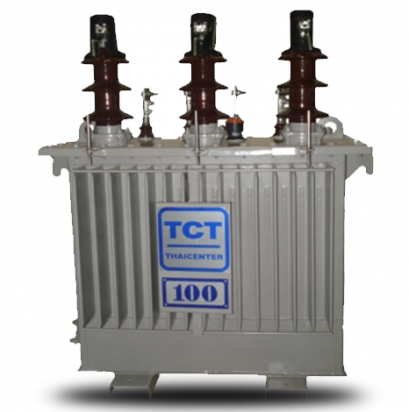 หม้อแปลงไฟฟ้า 100 KVA Hermetically Sealed without Gas Cushion
