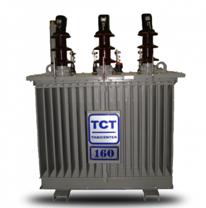 หม้อแปลงไฟฟ้า 250 KVA Hermetically Sealed without Gas Cushion