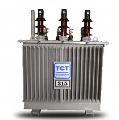 หม้อแปลงไฟฟ้า 315 KVA Hermetically Sealed without Gas Cushion