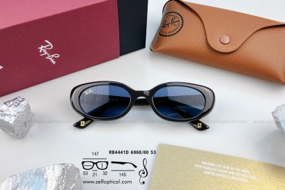 RayBan RB4441D 6868/80 Size 53 ( 2026 YEAR OF THE HORSE EDITION )