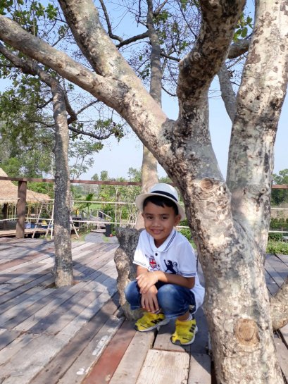 แนวคิดเรื่อง "เลี้ยงลูกแบบการปลูกต้นไม้"