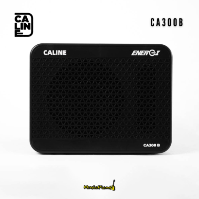 แอมป์เบส Caline - CA300B แอมป์เบส Caline - CA300B