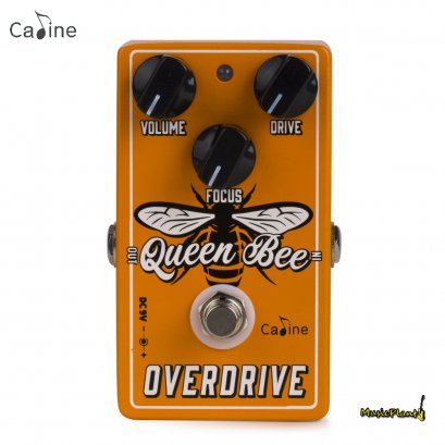 Caline - CP-503 Queen Bee Overdrive