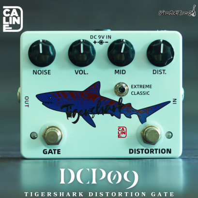 Caline - DCP09 TIGERSHARK DISTORTION GATE Caline - DCP09 TIGERSHARK DISTORTION GATE