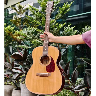 Cat's Eyes Guitar กีตาร์โปร่ง All Solid รุ่น CE-95T Cat's Eyes Guitar กีตาร์โปร่ง All Solid รุ่น CE-95T