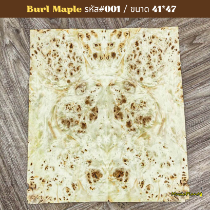 วีเนียร์ Poplar Burl Veneer #01