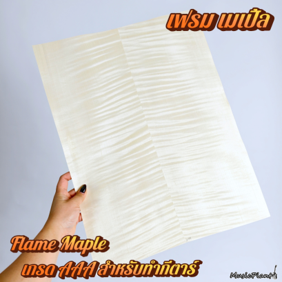 วีเนียร์ Framed Maple Veneer สำหรับกีตาร์