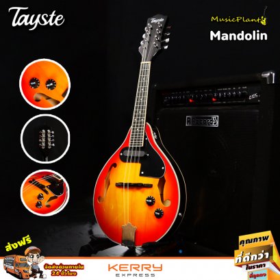 Tayste Electric Mandolin แมนโดลินไฟฟ้า รุ่น T-MA5