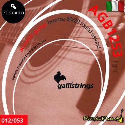 GalliStrings สายกีตาร์โปร่งเคลือบกันสนิม Coated 80/20 Bronze รุ่น AGB1253 LIGHT GalliStrings สายกีตาร์โปร่งเคลือบกันสนิม Coated 80/20 Bronze รุ่น AGB1253 LIGHT