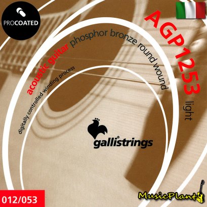 GalliStrings สายกีตาร์โปร่งเคลือบกันสนิม Coated  Phospher Bronze รุ่น AGP1253 LIGHT GalliStrings สายกีตาร์โปร่งเคลือบกันสนิม Coated  Phospher Bronze รุ่น AGP1253 LIGHT