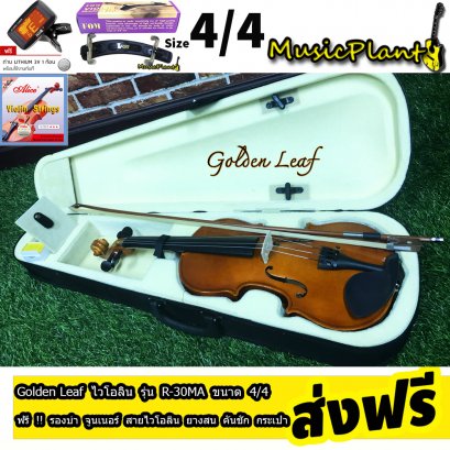 Golden Leaf Violin ไวโอลิน รุ่น R-30MA มีหลายขนาด เลือกไซส์ได้ พร้อม กระเป๋า ที่รองบ่า คันชักไวโอลิน ยางสน สายไวโอลิน Golden Leaf Violin ไวโอลิน รุ่น R-30MA มีหลายขนาด เลือกไซส์ได้ พร้อม กระเป๋า ที่รองบ่า คันชักไวโอลิน ยางสน สายไวโอลิน