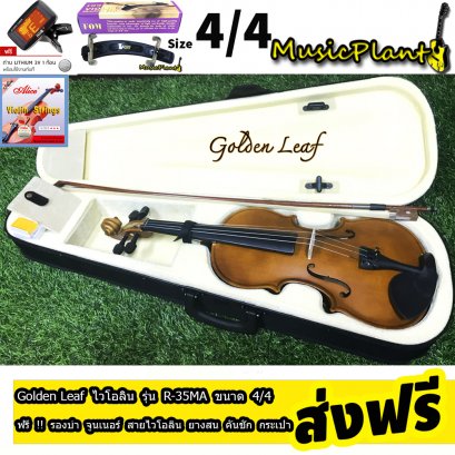 Golden Leaf Violin ไวโอลิน รุ่น R-35MA มีหลายขนาด เลือกไซส์ได้ พร้อม กระเป๋า ที่รองบ่า คันชักไวโอลิน ยางสน สายไวโอลิน Golden Leaf Violin ไวโอลิน รุ่น R-35MA มีหลายขนาด เลือกไซส์ได้ พร้อม กระเป๋า ที่รองบ่า คันชักไวโอลิน ยางสน สายไวโอลิน