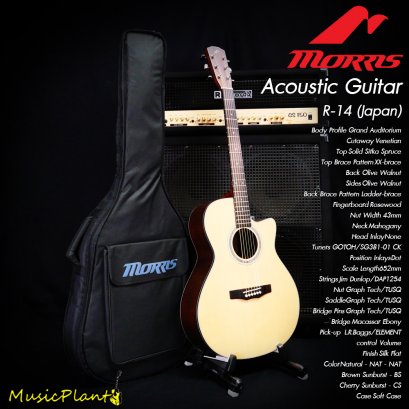 Morris: R-14 (Japan), Acoustic Guitar
