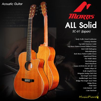 Morris กีตาร์โปร่ง Acoustic Guitar รุ่น SC-61 (Japan)