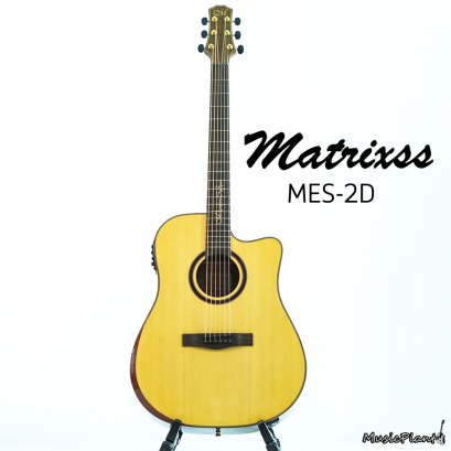 Matrixss: MES-2D,  Acoustic Electric Guitar
