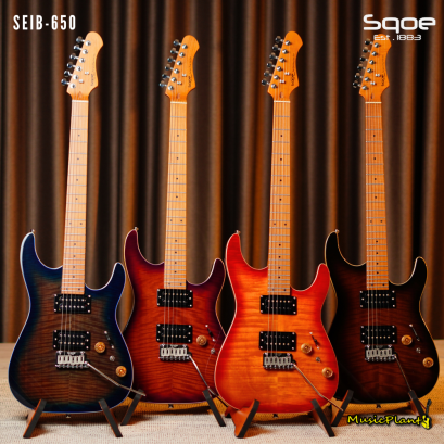 SQOE - SEIB650
