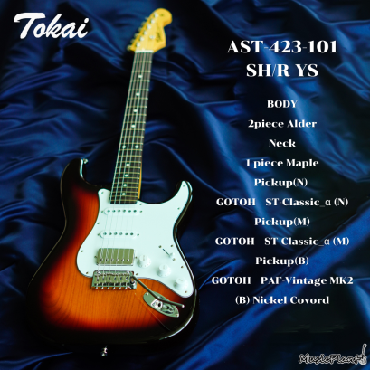 Tokai | AST-423-101-SH/R YS (SN : 241116) Tokai | AST-423-101-SH/R YS (SN : 241116)