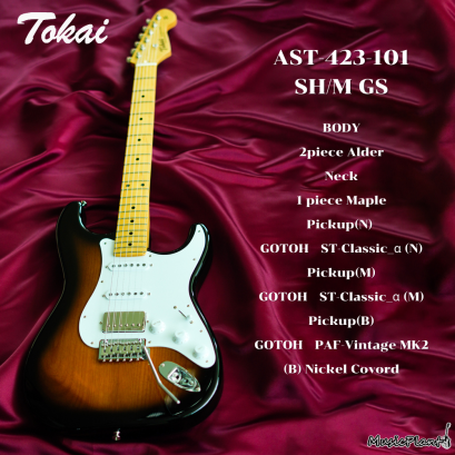 Tokai | AST-423-101-SH/M GS (SN : 241107) Tokai | AST-423-101-SH/M GS (SN : 241107)