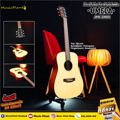 Umeda: JPN-DR101, Acoustic Guitar