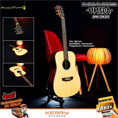 Umeda: JPN-DR201, Acoustic Guitar