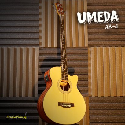 Umeda เบสโปร่งไฟฟ้า 4 สาย รุ่น AB-4 Electeic Acoustic Bass