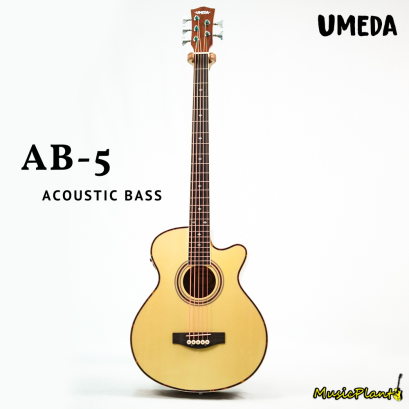 Umeda เบสโปร่งไฟฟ้า 5สาย รุ่น AB-5 Acoustic Bass