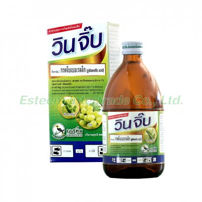 วิน จิ๊บ