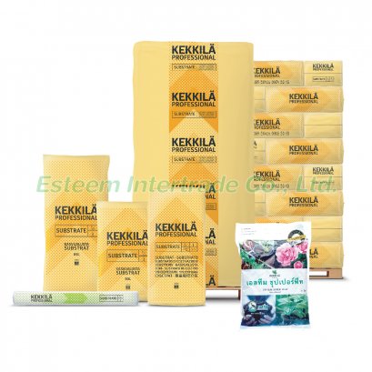 ดีเอสเอ็ม 3 W