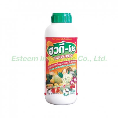 ฮิวกี้ - โปร