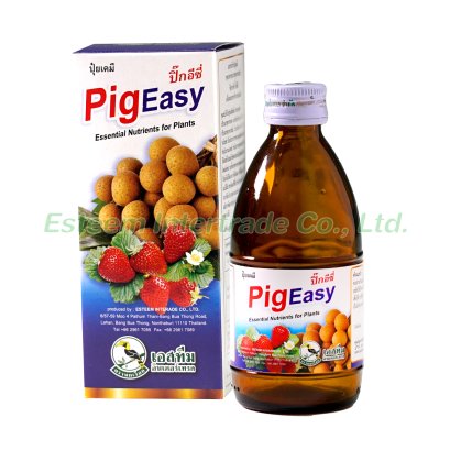 ปิ๊กอีซี่ 0.2%