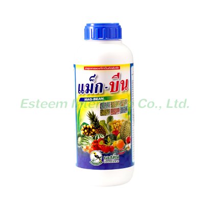 แม็ก-บีน