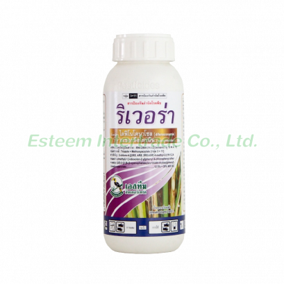 ริเวอร่า