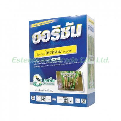 ฮอริซัน