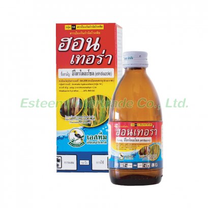 ฮอนเทอร่า