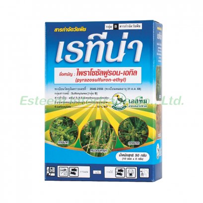 เรทีน่า