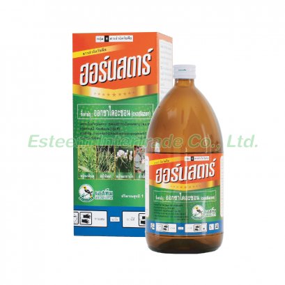 ฮอร์นสตาร์