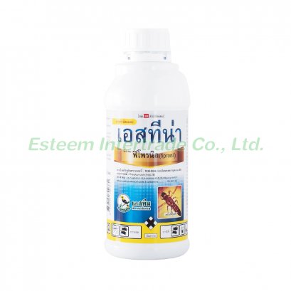 เอสทีน่า