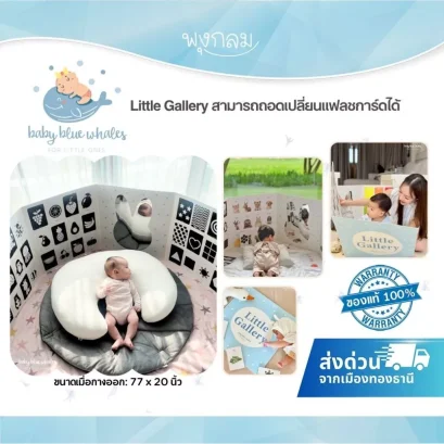 Baby Blue Whales Little Gallery Flash Cards แฟลชการ์ดเด็ก เสริมพัฒนาการทุกช่วงวัย (0m+)